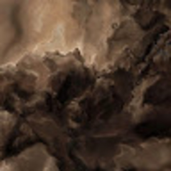 Meet your Posher, Renee - Picture 1 of 1